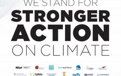 Mental health charities call for stronger action on climate change and support for NGO’s in the lead up to Black Summer Bushfire anniversary. 